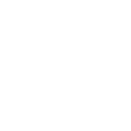 Logo Light